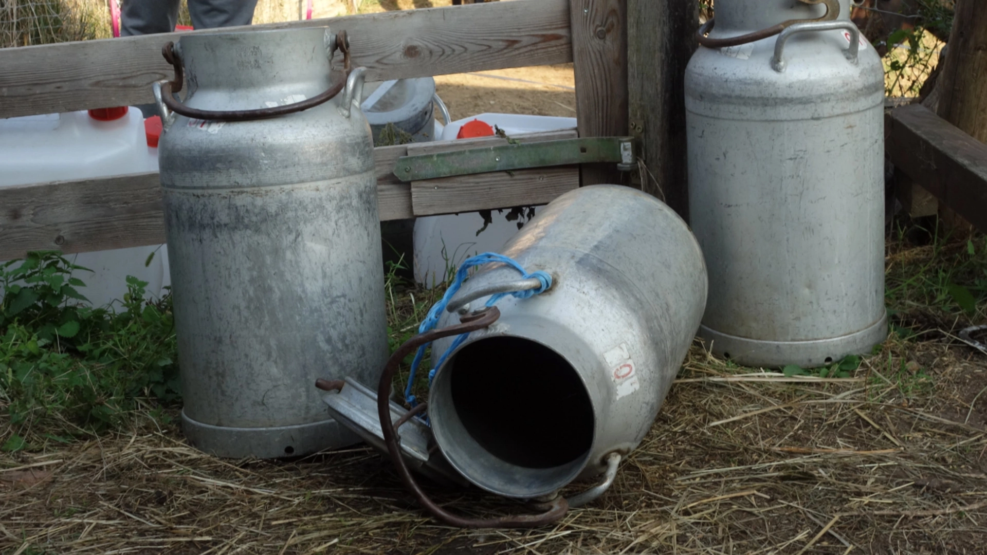 When to Exit Dairy Farming and When to Fix the System