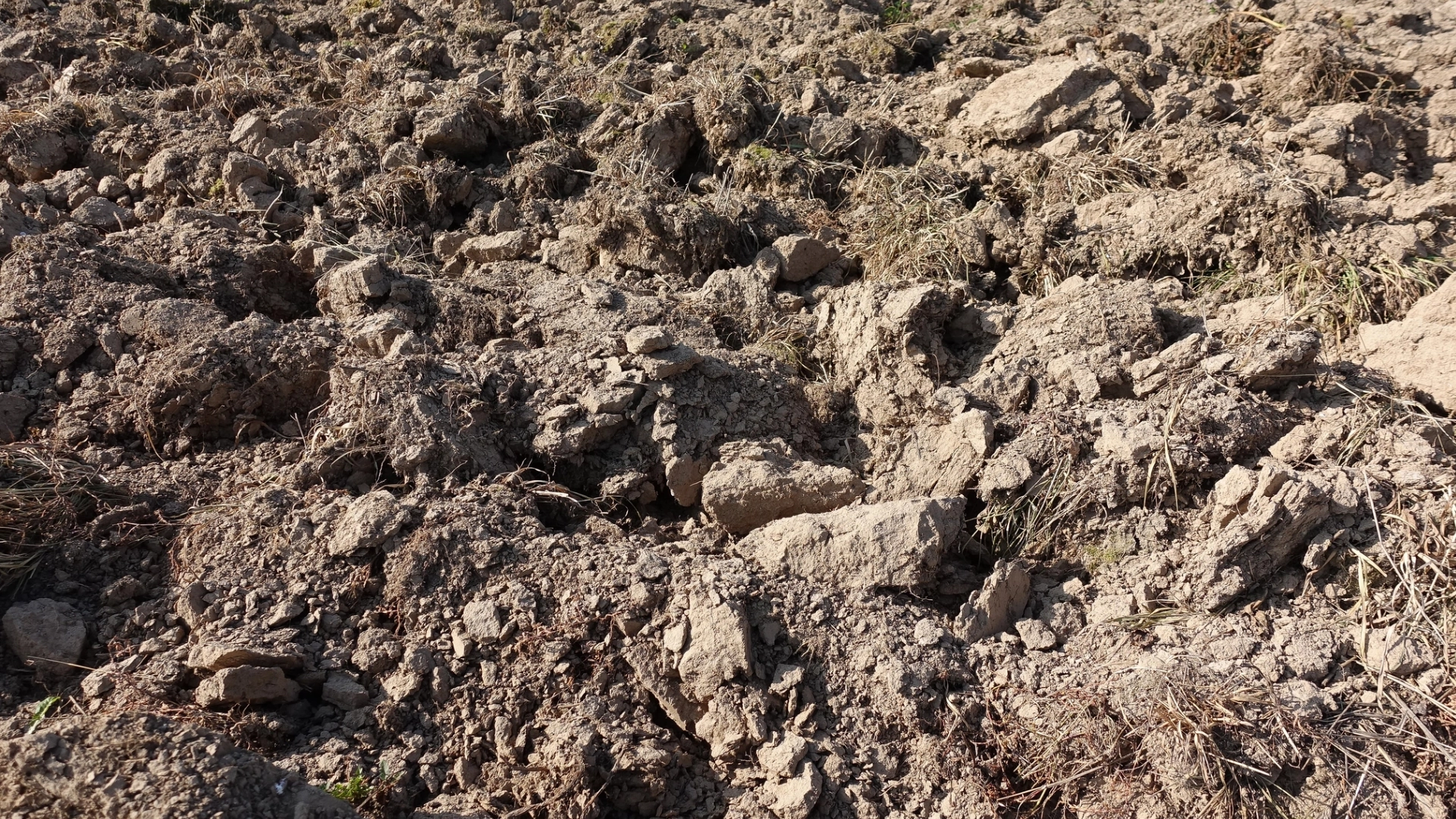 How Long Soil Takes to Recover After Chemical Farming