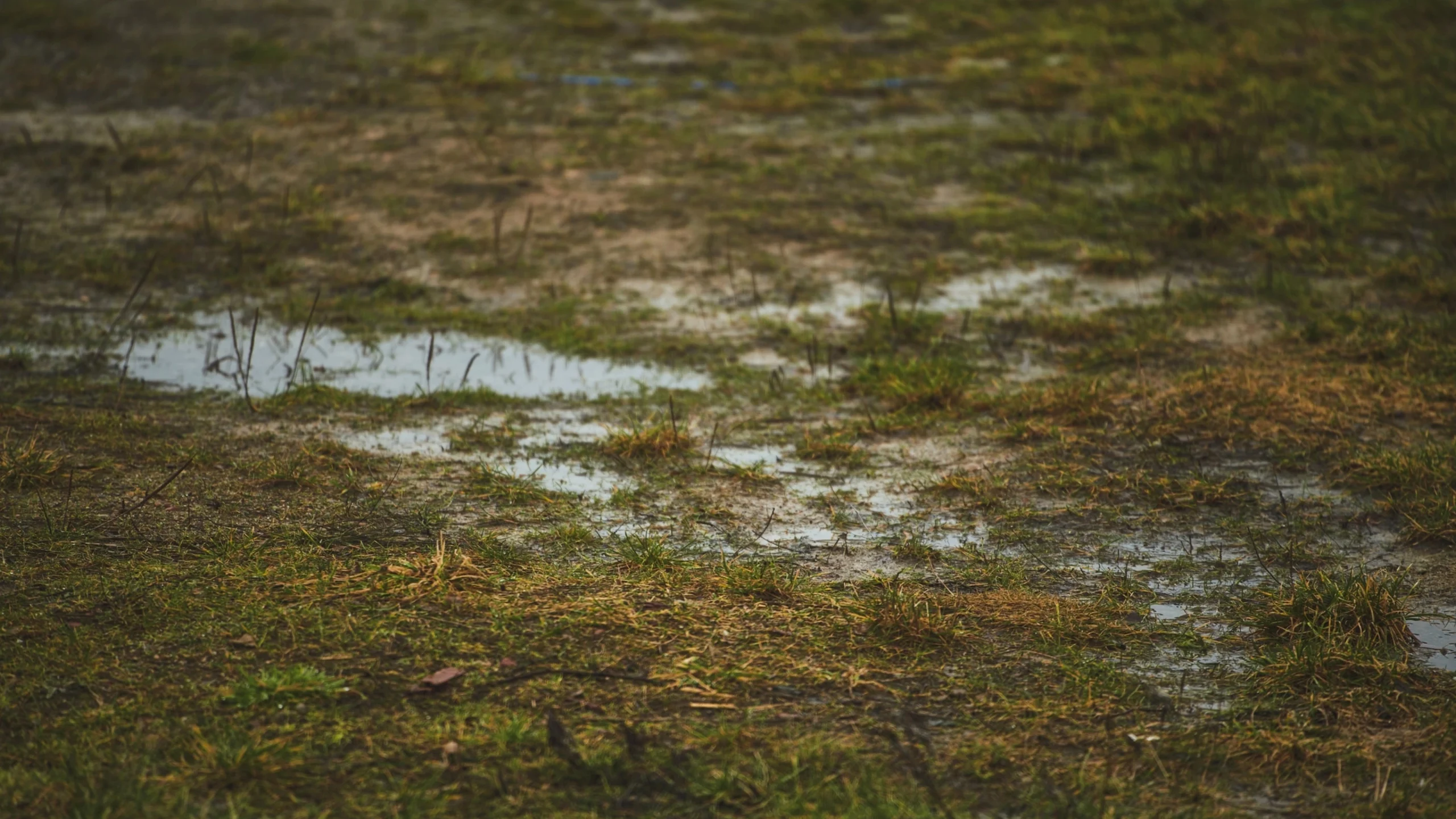 Why Soil Becomes Hard After Rain in Red and Lateritic Areas