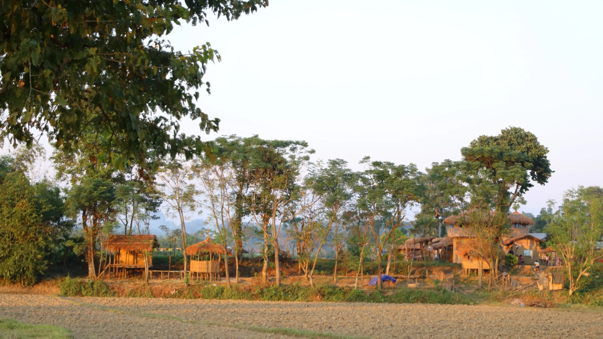 Learning Natural Farming in Indian Conditions: A Reality Guide