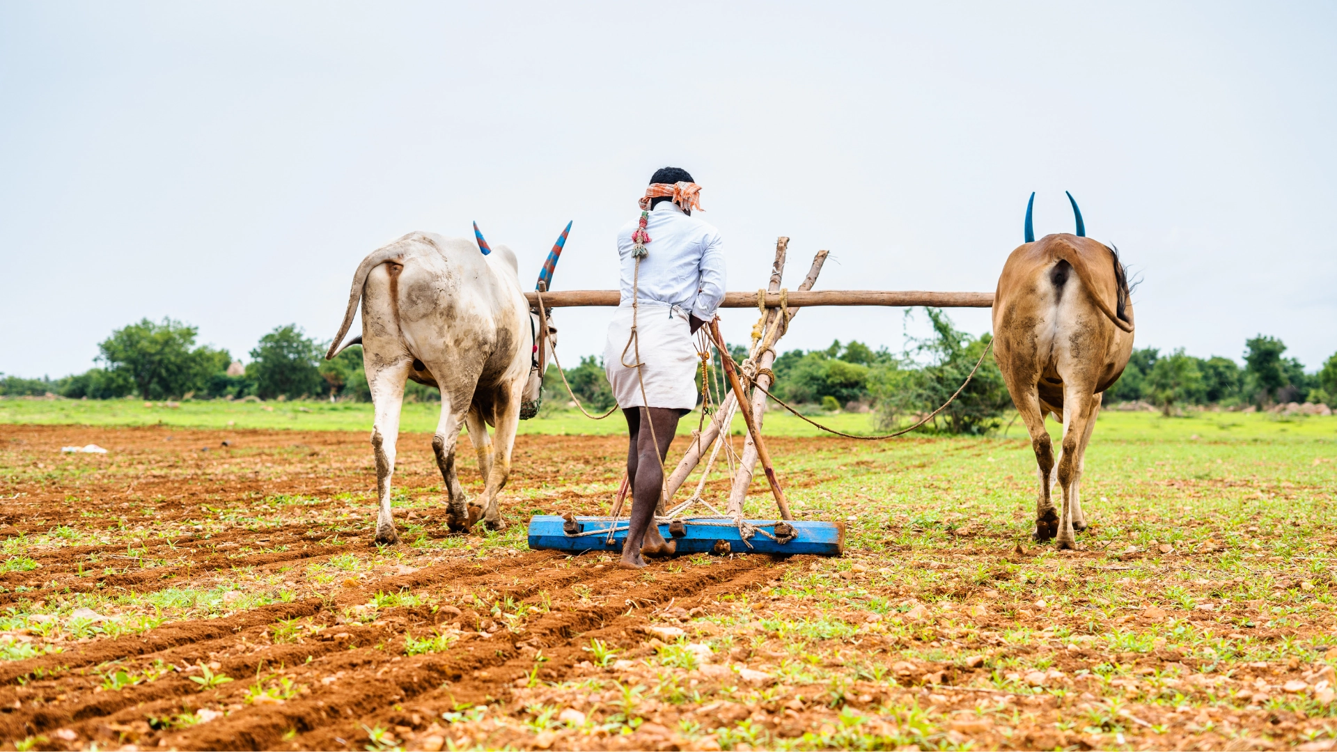 Learning Through Practice: Why Small Experiments Matter