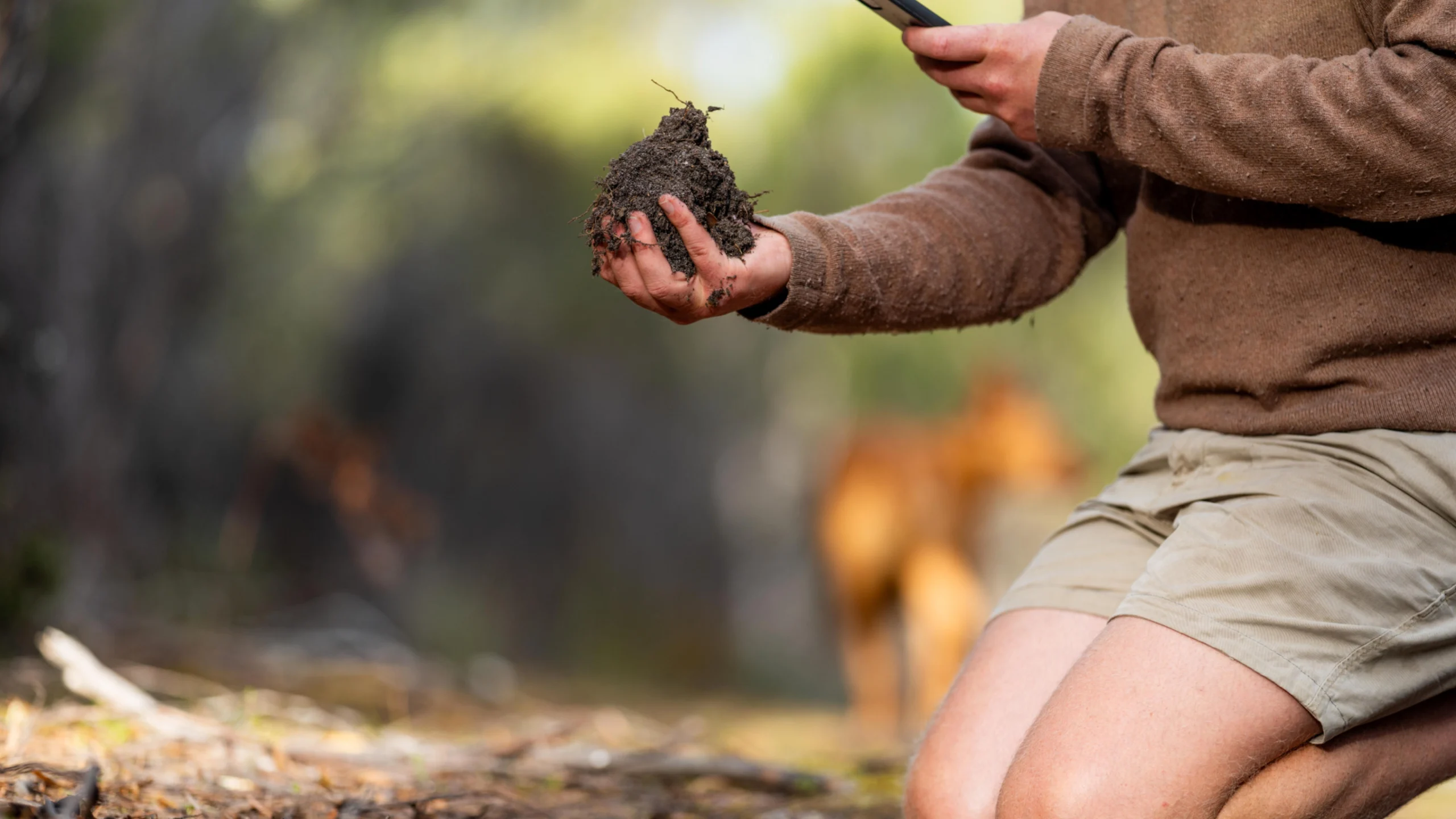 Soil Microbes Explained Without Scientific Jargon (Indian Context)