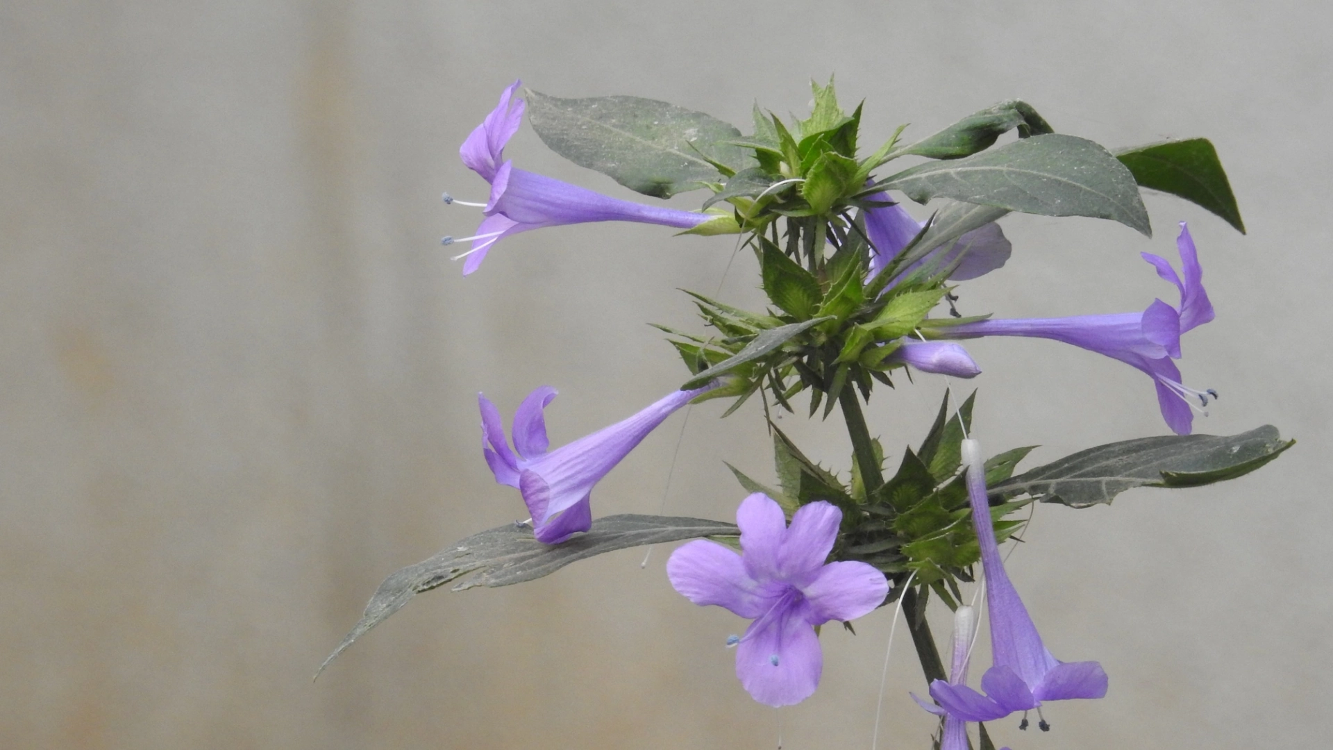 Terragaon Trials: What We Tested, What Changed, What We Learned