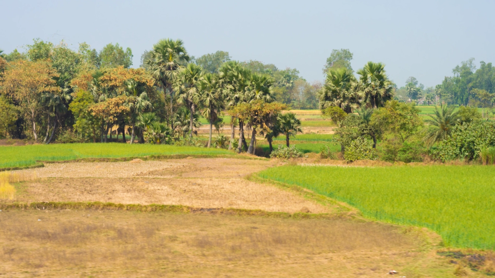 What Makes a Farm Economically Sustainable Over 10 Years