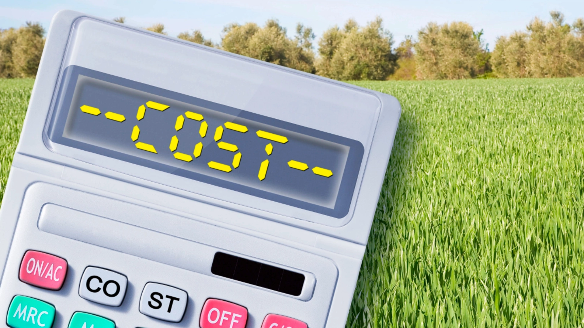 Farm Economics on Small Land in India: Why Profit Is About Stability, Not Scale