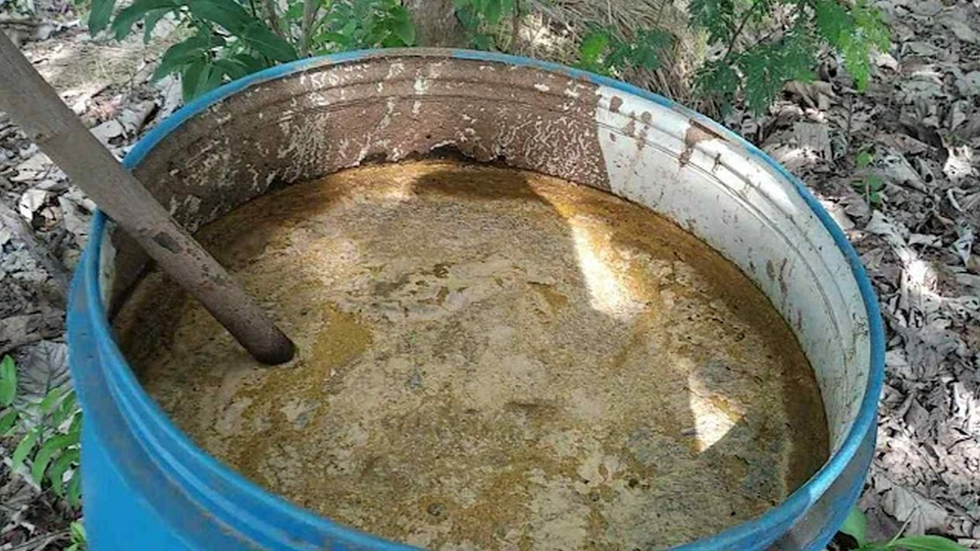 Does Jeevamrut Improve Soil or Only Stimulate Microbes Temporarily