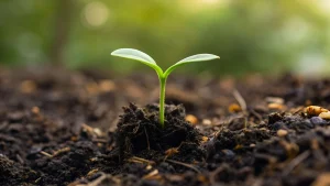 Natural Farming on Small Land