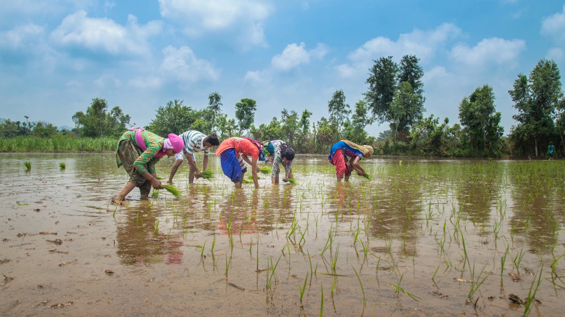 Natural Farming Cost Breakdown on Small Land: What You Really Spend and What You Don’t