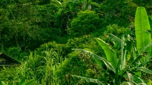 Small Farm Economics