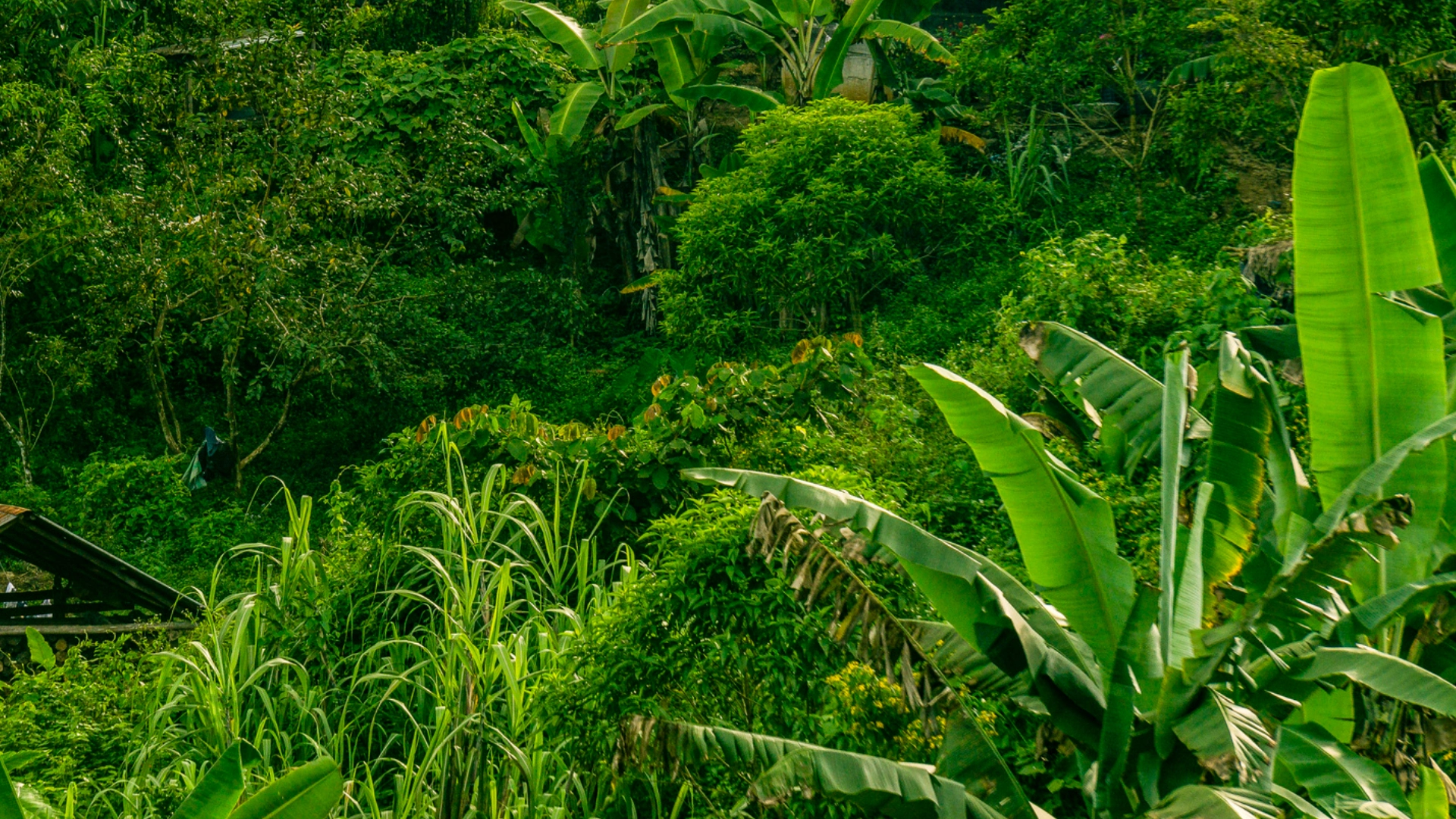 Why Small Farms Fail Financially Even When Production Looks Good