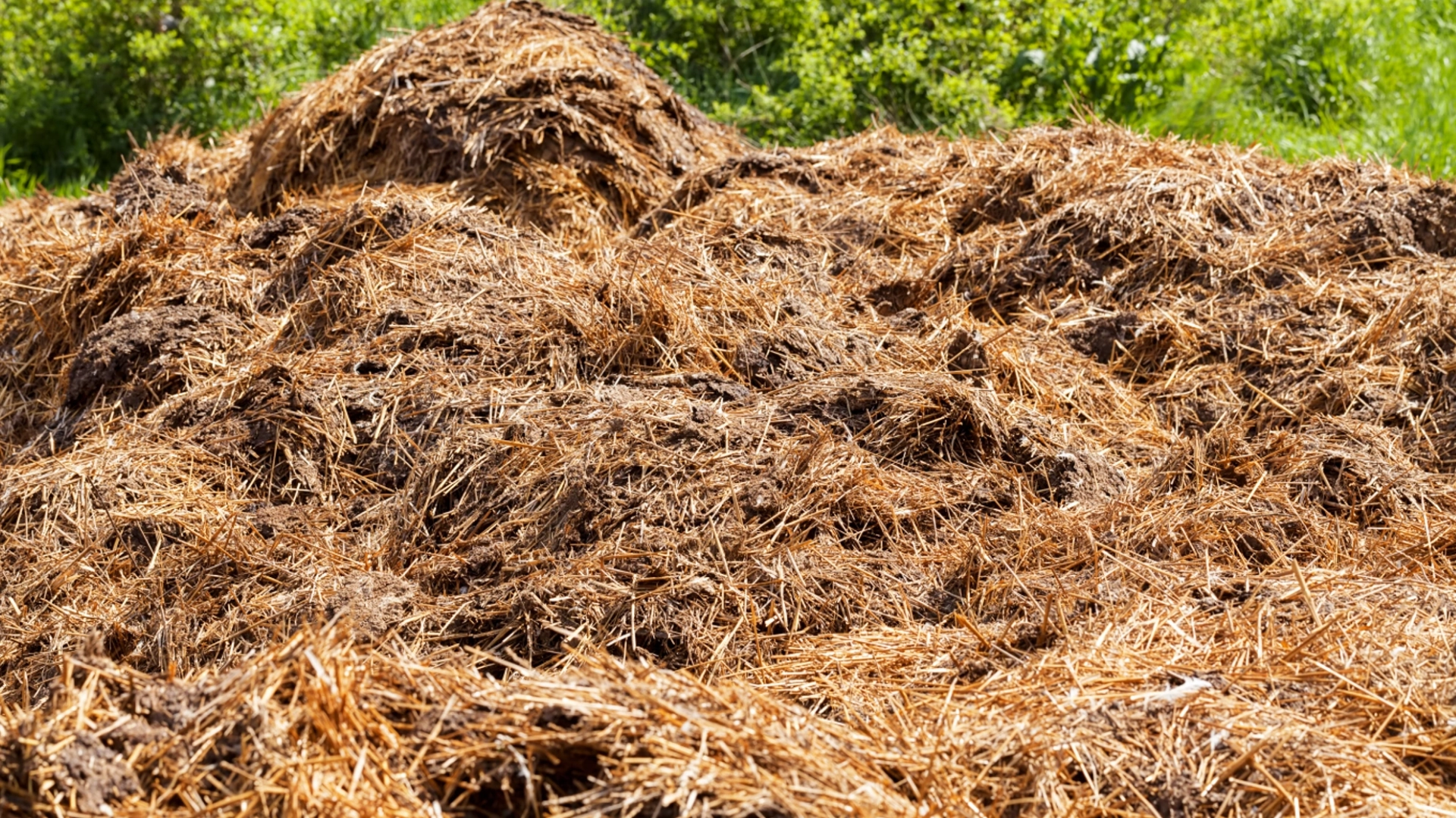 Why Zero Waste Farming Is About Money Not Ideology