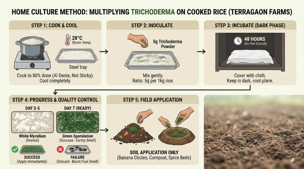 Multiplying Trichoderma at Home